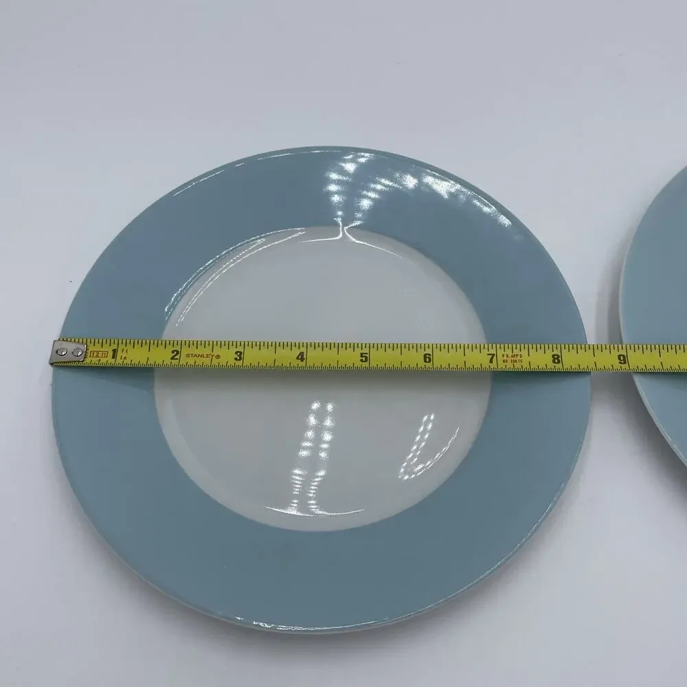 IKEA Susan Pyrke 365 Set of 2 White & Blue Rim Stoneware 8.5” Luncheon Plates
